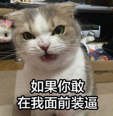 猥猫搞怪表情包,好魔性~~(进来的是帅哥美女)