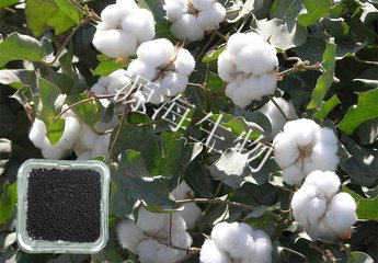 棉花施用有机肥的方法