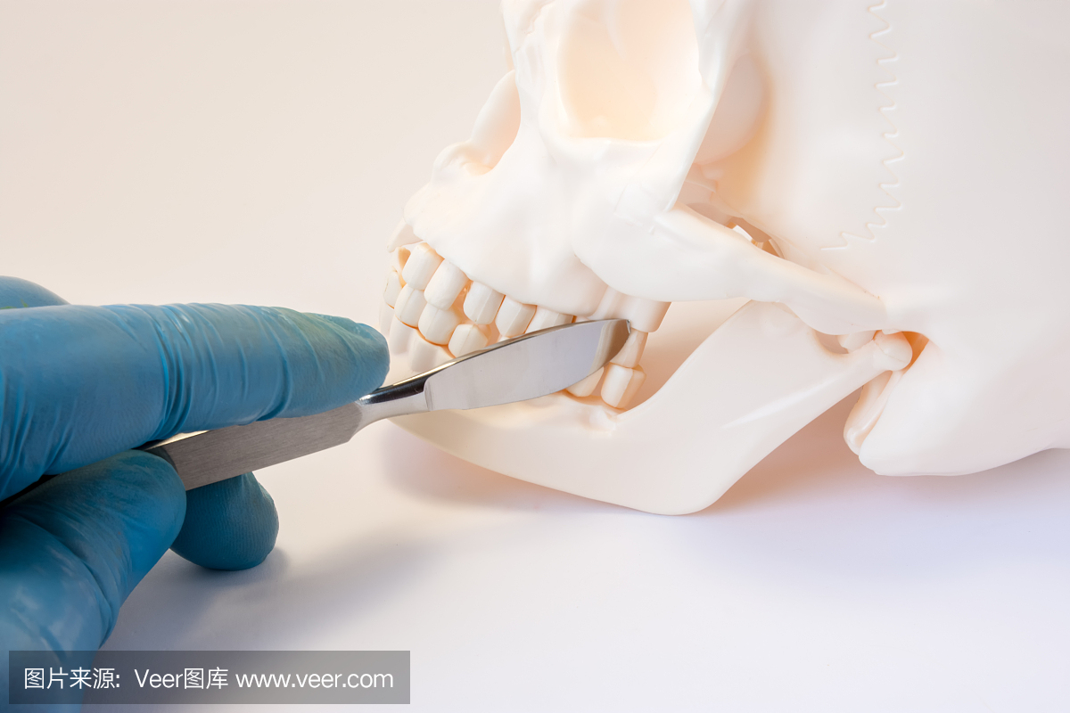 口腔和口腔颌面外科手术概念照片。带解剖刀的