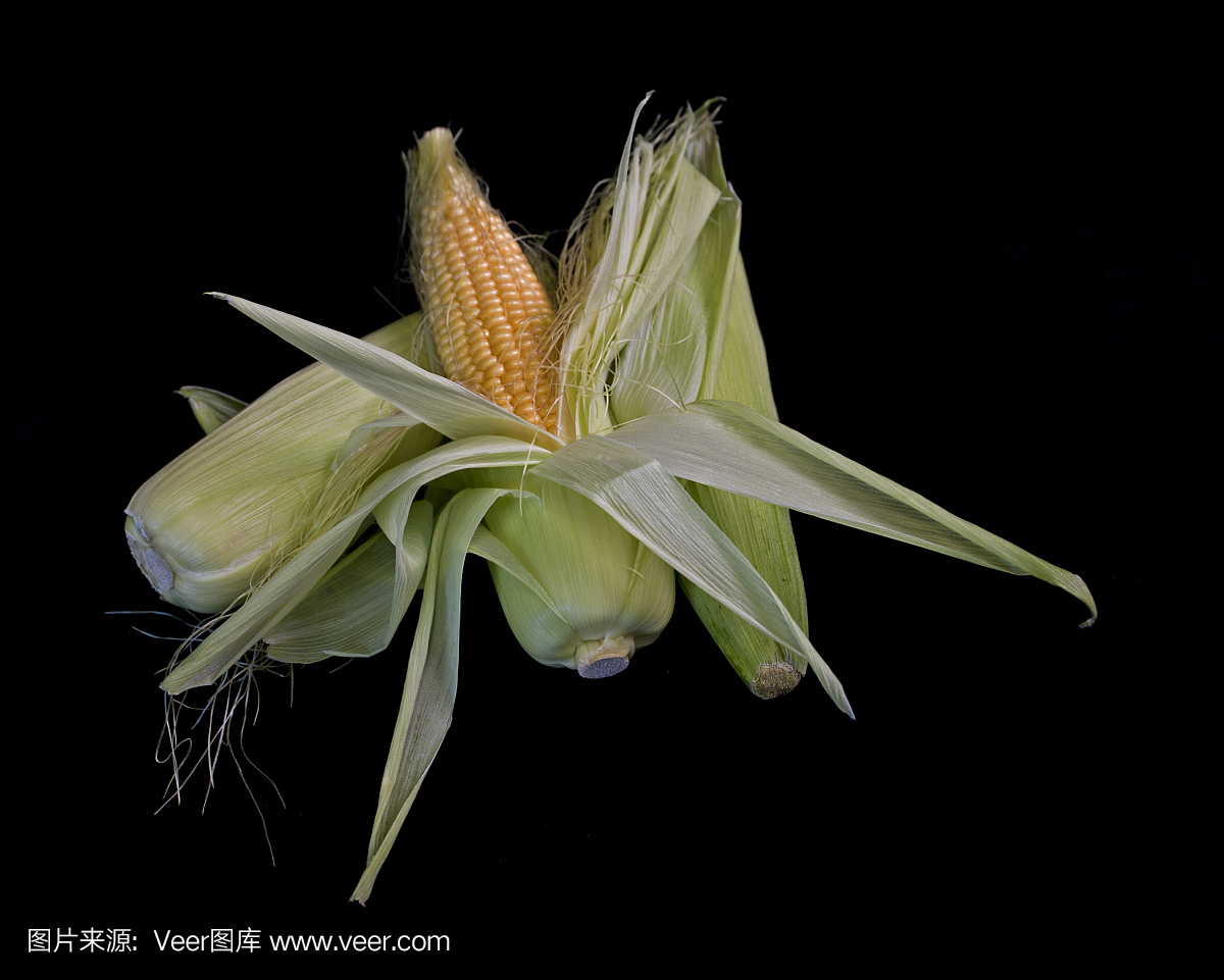 老玉米,玉米棒子,玉米棒,水平画幅