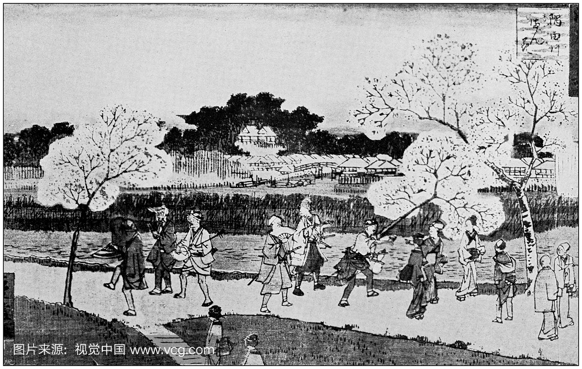 古色古香的日本插图:Shigenobu的樱花