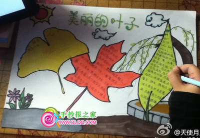 用树叶做的手抄报图片