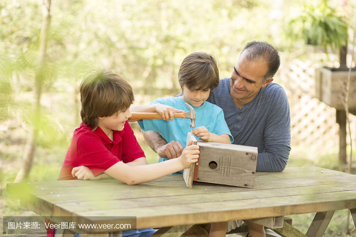 父亲和两个儿子在户外建造鸟舍。家人在一起的