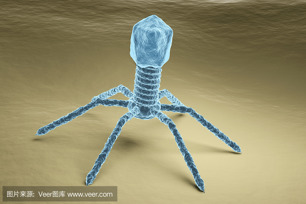 噬菌体,抗菌素,水平画幅,无人