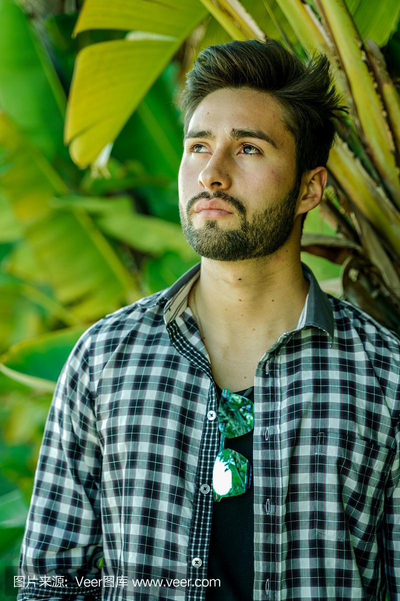 希望,渴望,仅男人,热带气候