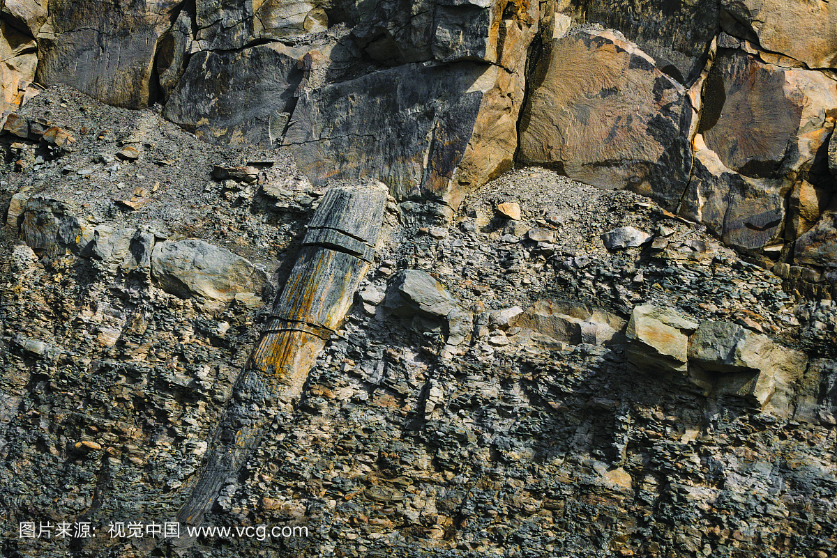 来自煤炭年龄组的石棺林树皮由暴雨湾暴露。轻