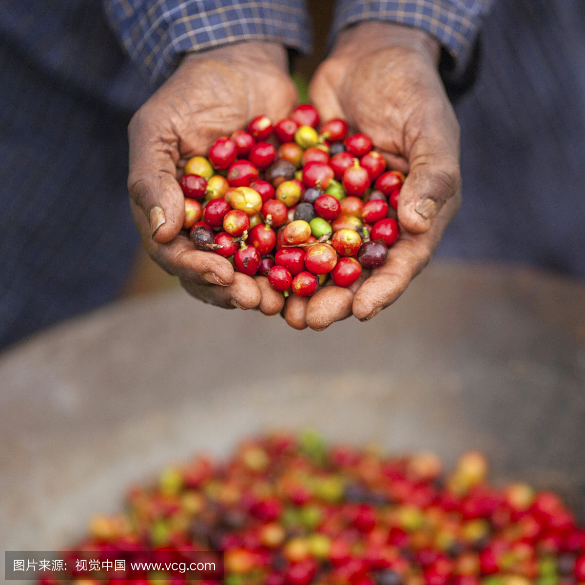 肯尼亚公平贸易咖啡农民