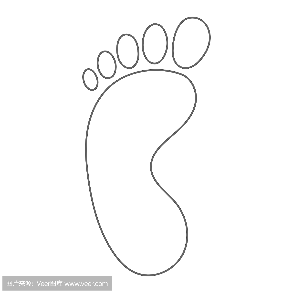 人的脚印。赤脚。左脚。大纲。向量