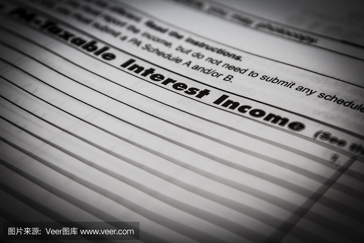 应税利息收入表