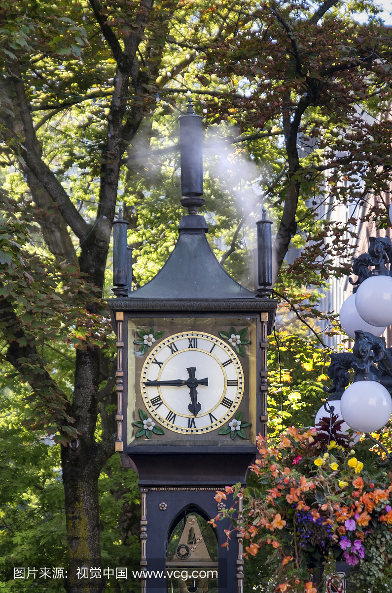 温哥华,时间,华丽的,垂直画幅