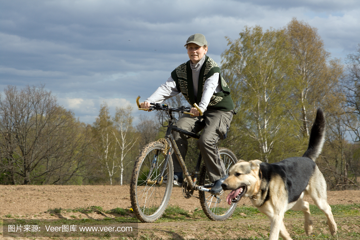 德国牧羊犬,德国黑贝,德牧犬,德国黑背