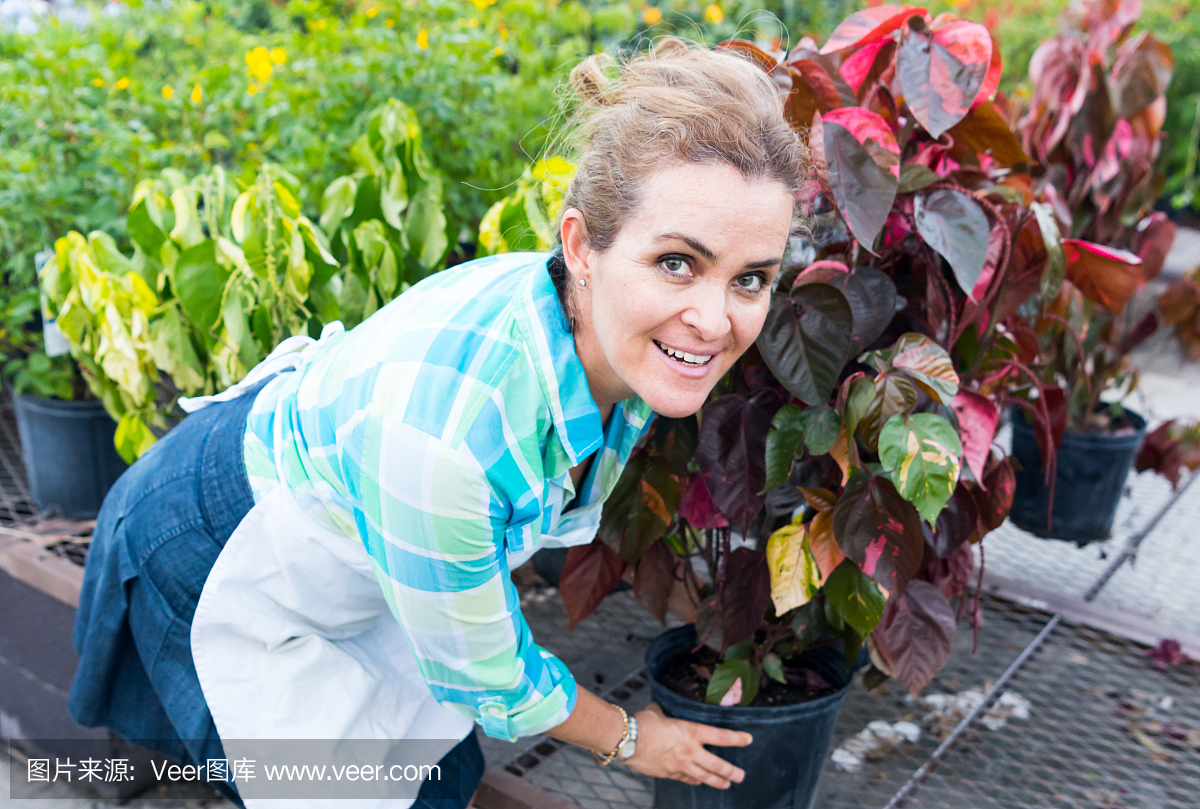 植物苗圃,植苗园地,园圃,育苗基地