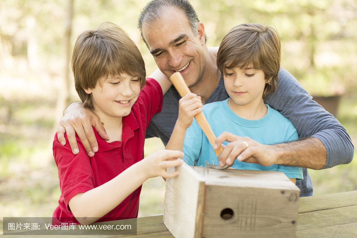 父亲和两个儿子在户外建造鸟舍。家人在一起的