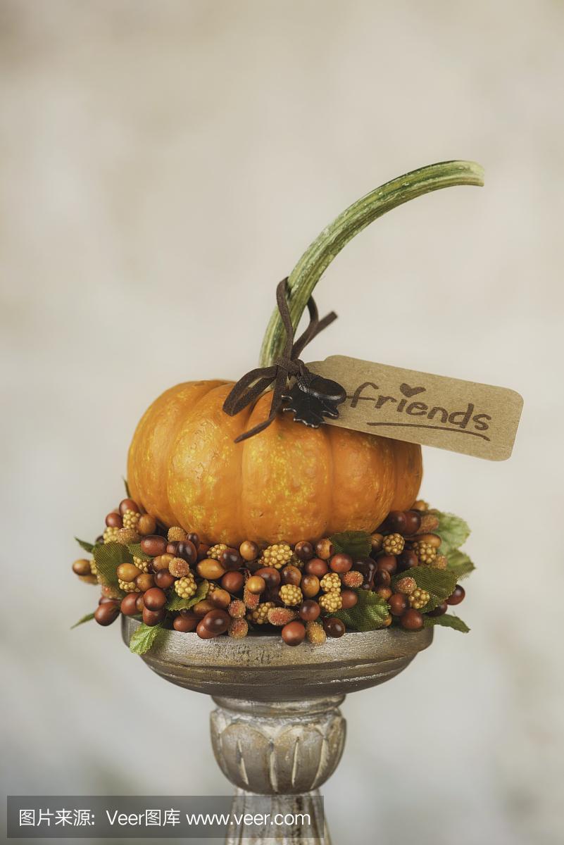 感恩南瓜与朋友礼品标签。感谢朋友