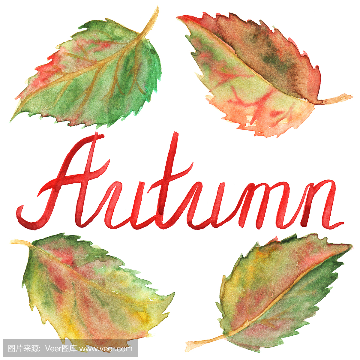 秋天的墨水刻字印刷的绿色黄色的红色的树叶被