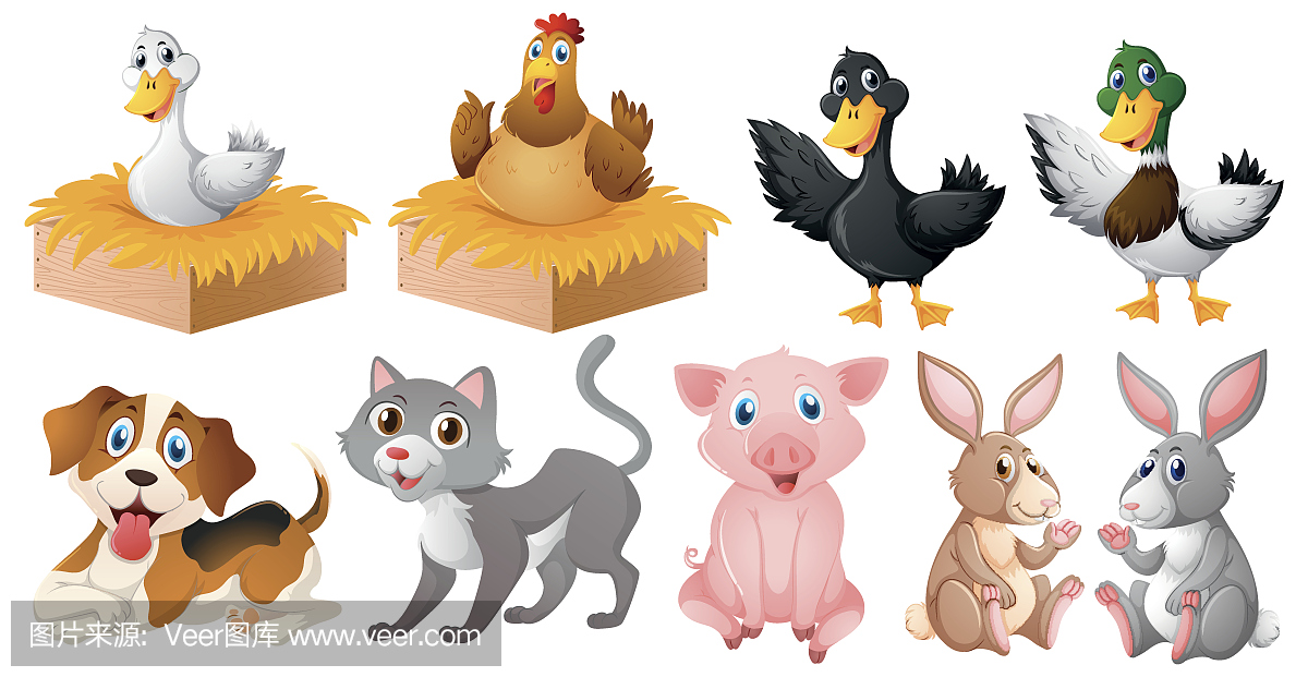 Different kinds of farm animals
