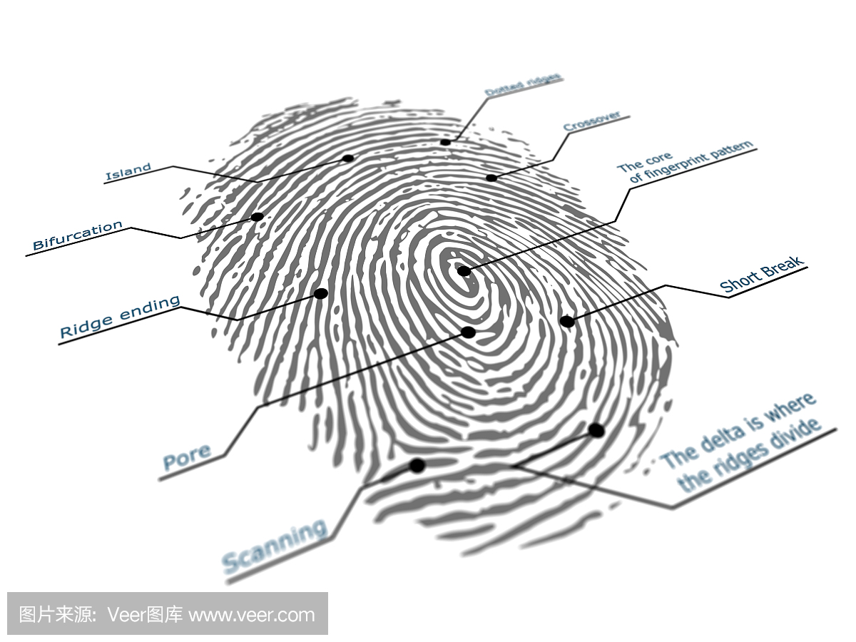 指纹扫描仪,指纹识别,指纹扫描装置,指纹扫描器