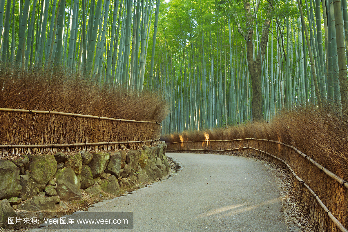 穿过日本京都附近的岚山竹林的路径