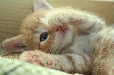 刚睡醒没有情感 睡醒后头疼