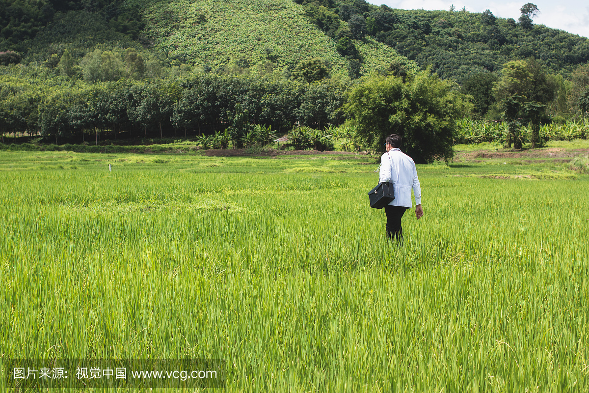 青年科学家指出绿色麦田未来的高度目标寻找新