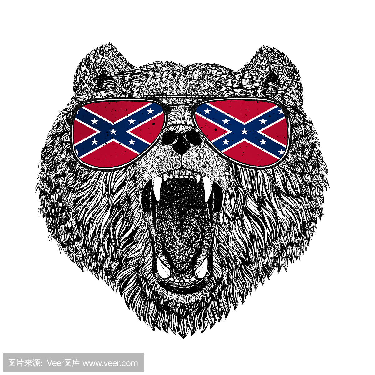 布朗熊俄罗斯熊戴眼镜与美国国家美国美国国旗