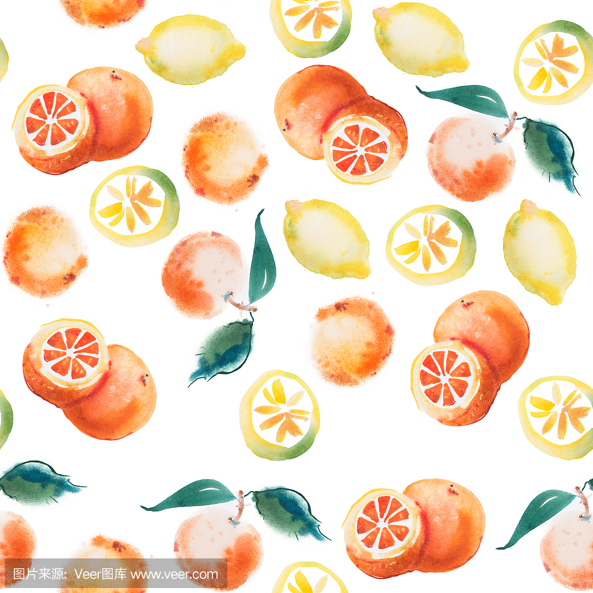 水彩画一套热带水果,柑橘水彩画