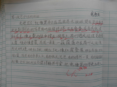 小学语文描写景的课文教案怎么写_如何写教案小学语文_小学语文课文 说明文 教案