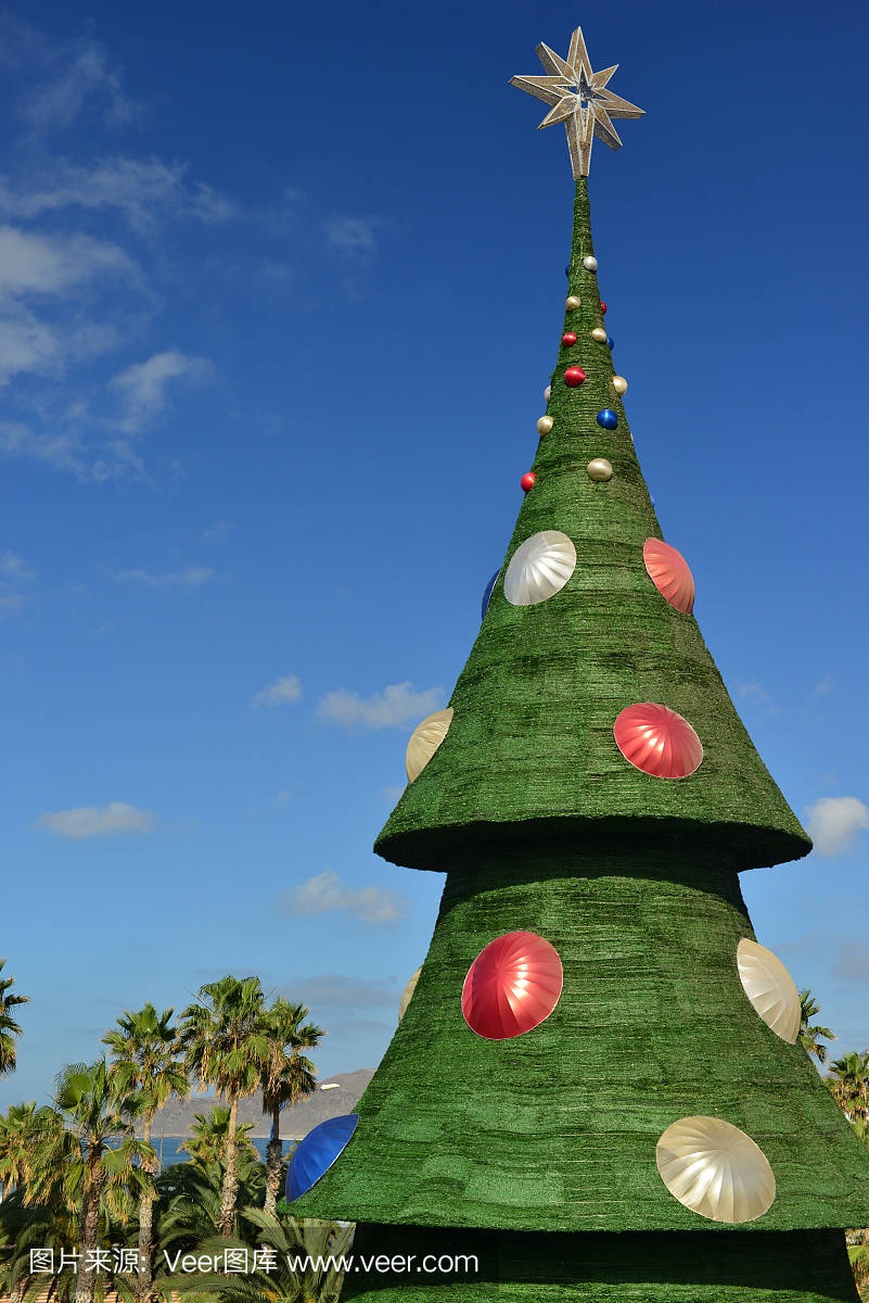 圣诞树,拉斯帕尔马斯大加那利岛,西班牙。
