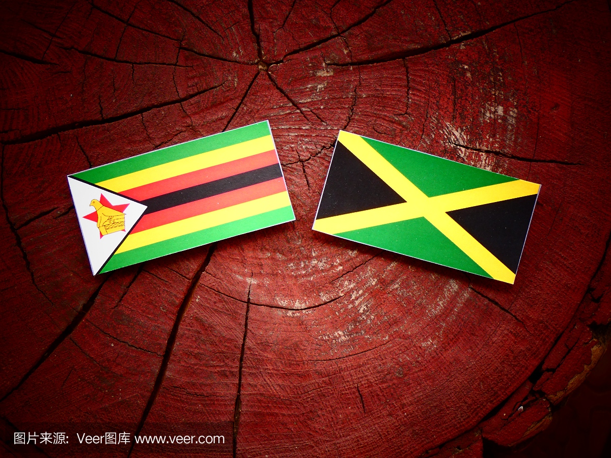 津巴布韦国旗与牙买加国旗在孤立的树桩上