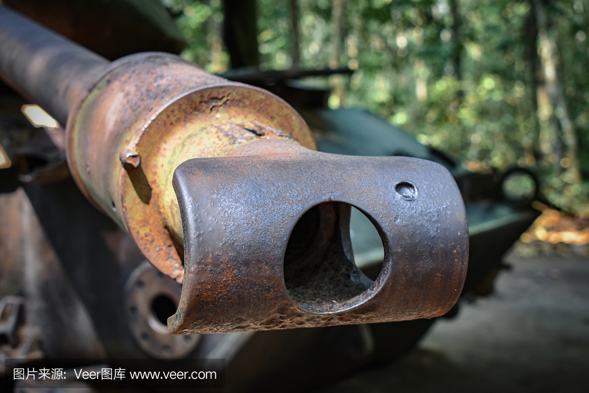 紧靠越战中使用的M41沃克斗牛犬坦克的枪