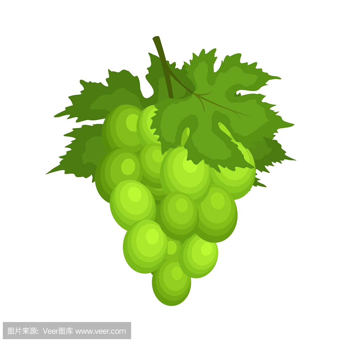 葡萄酒,艺术,素食,绘画插图