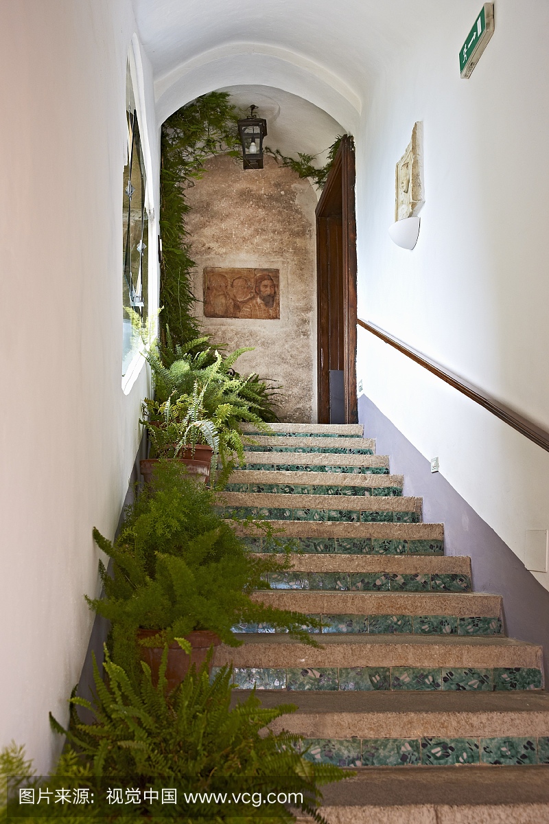 ith potted ferns on treads at Villa Cimbrone in Italy