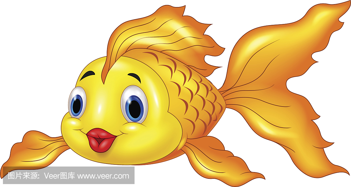 卡通可爱金黄鱼孤立在白色背景上