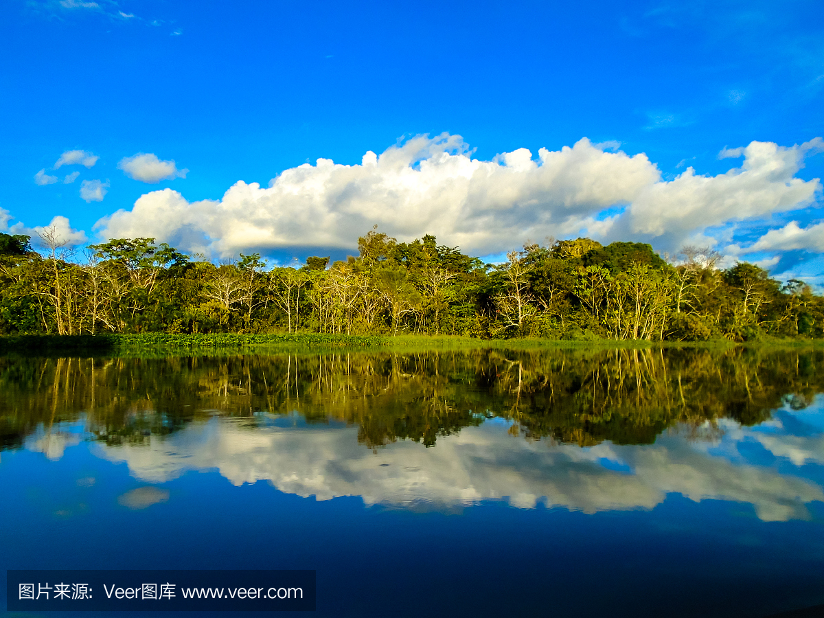 亚马逊河,亚马孙河,亚马逊,亚玛逊河流
