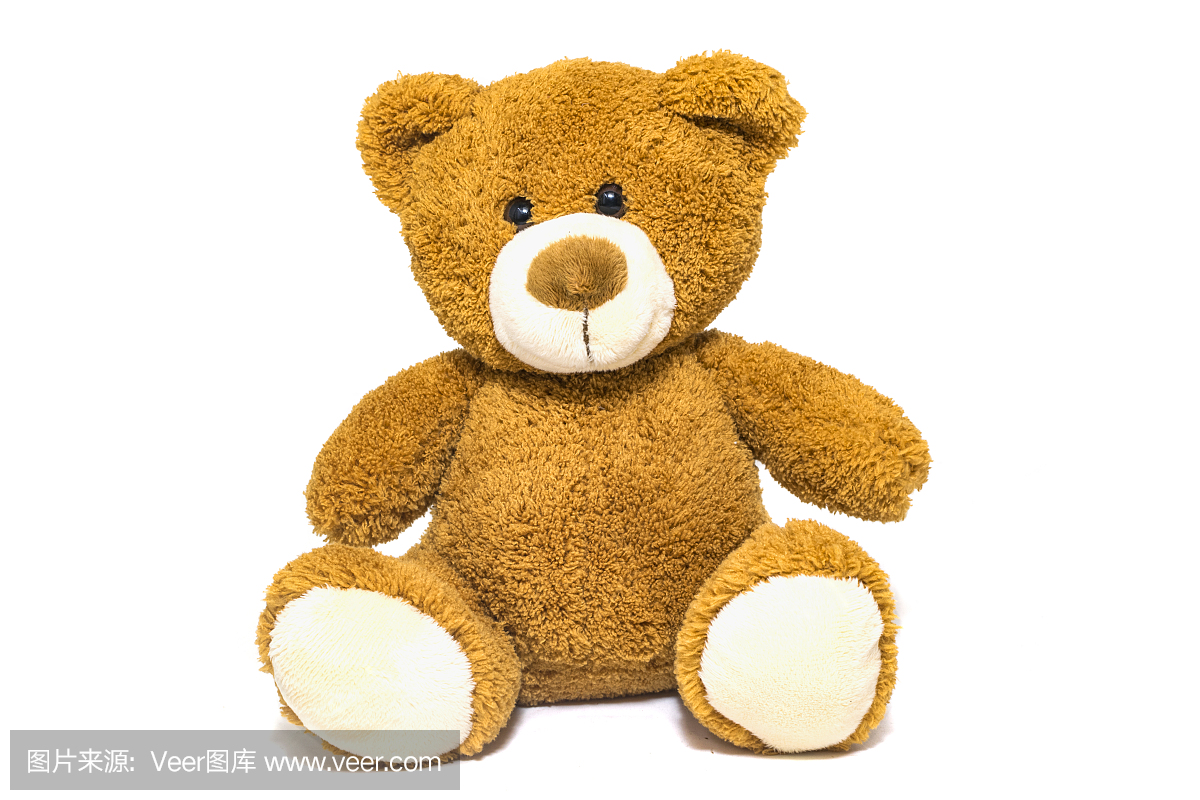 Brown teddy bear isolated in front of a white ba