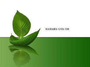 背景 壁纸 绿色 绿叶 树叶 植物 桌面 295_221