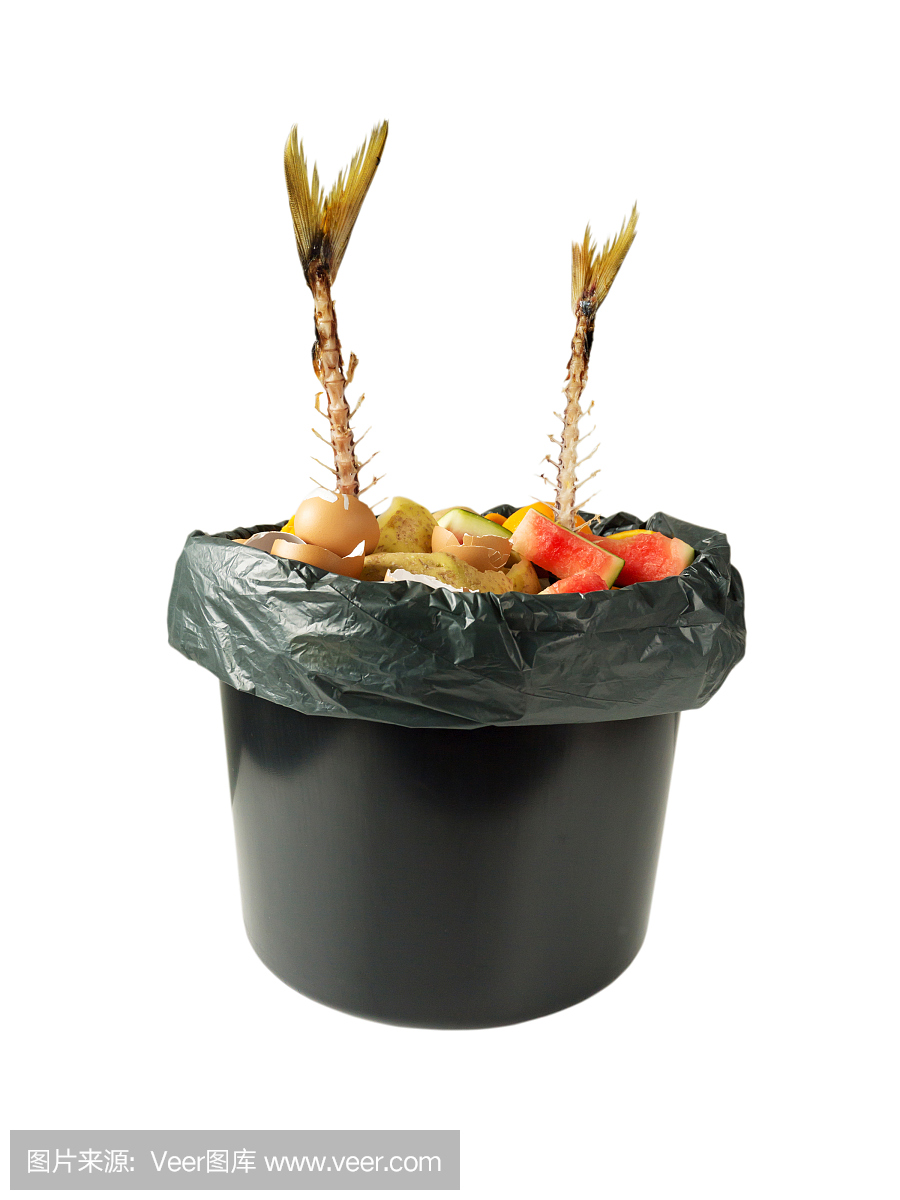 黑色水桶中的鱼骨,蔬菜皮,蛋壳和其他有机垃圾