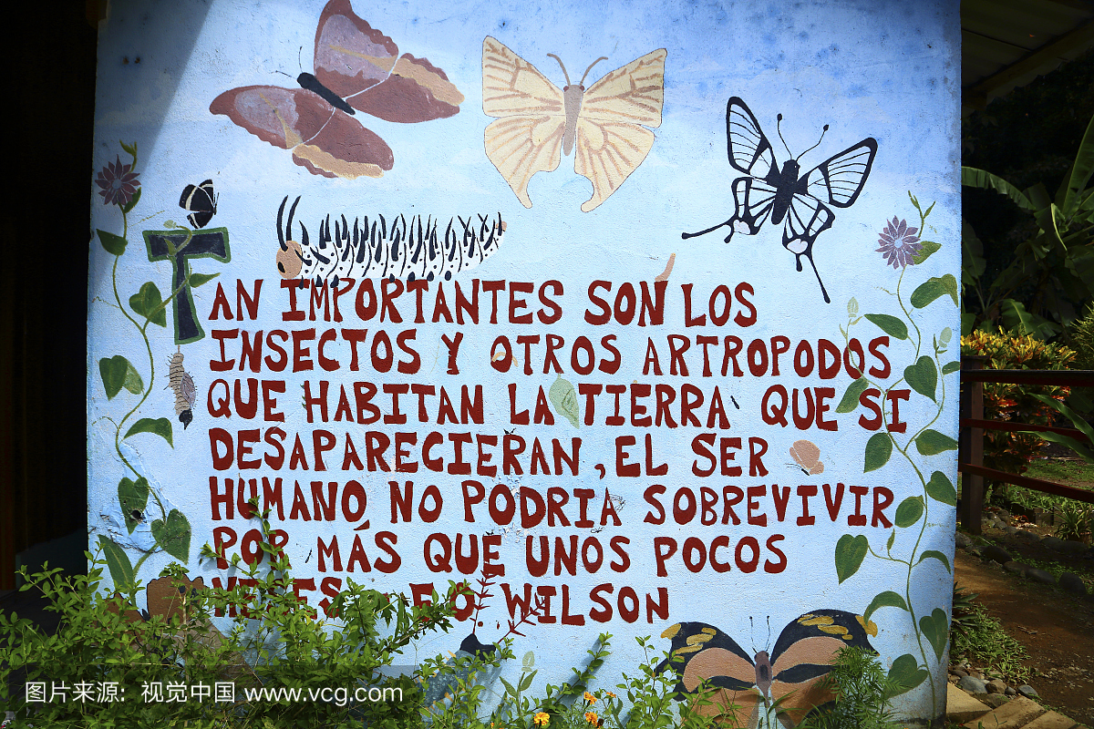 Playa Ballena beach, Ballena (Whale) national 