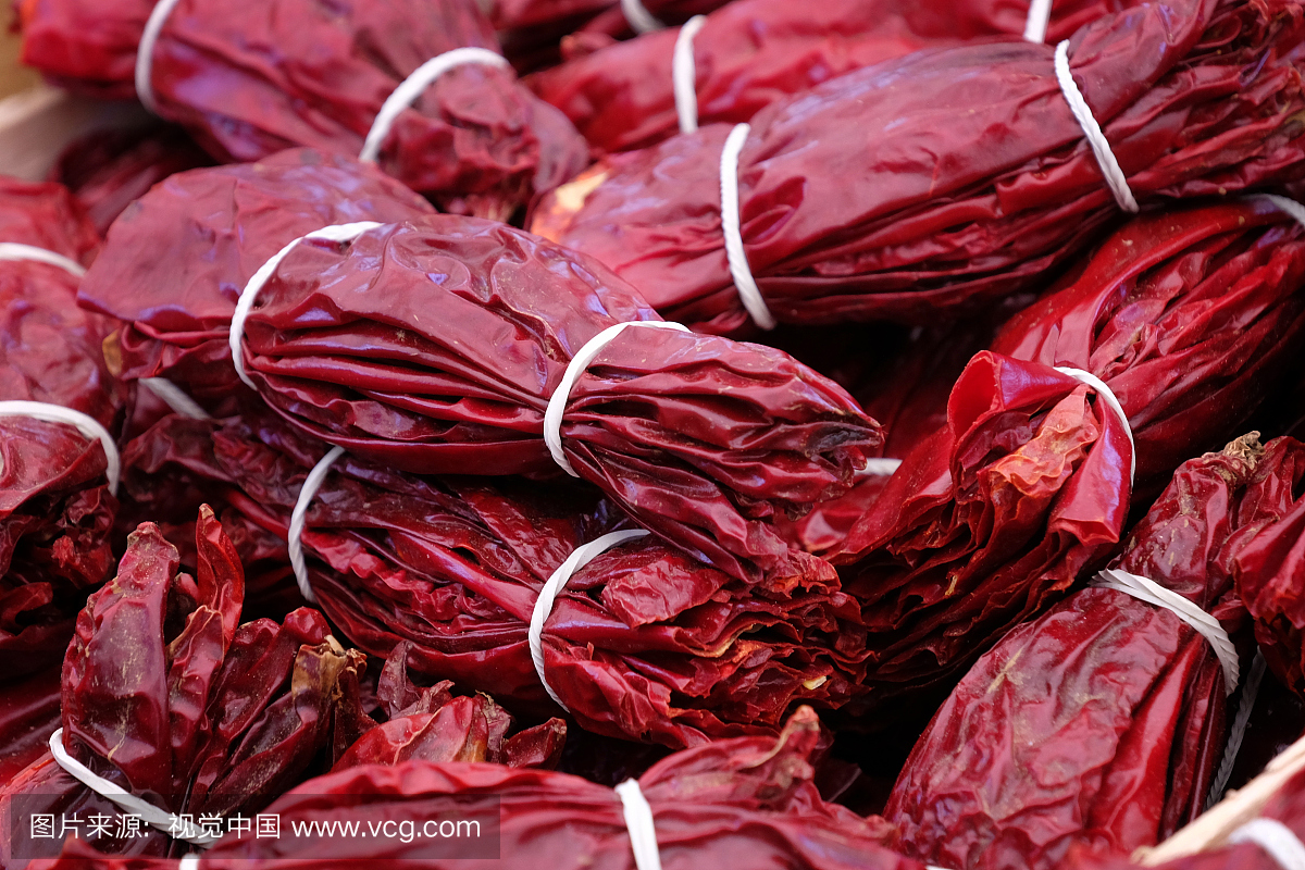 塞尔维亚,彩色图片,东欧,水平画幅