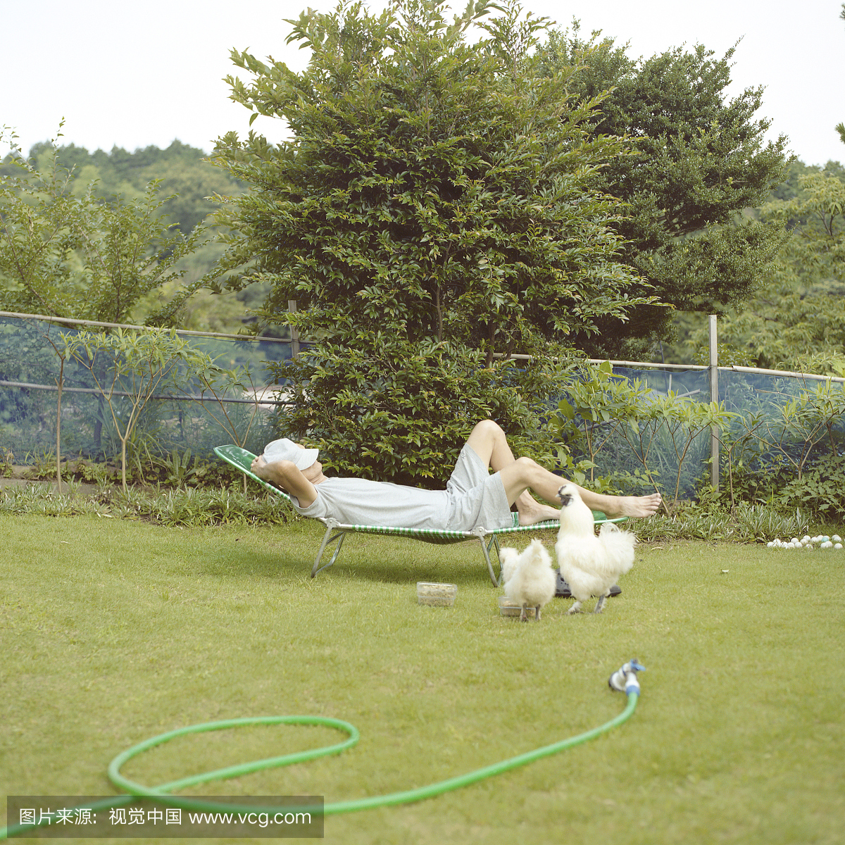 草,人,仅一个男人,母鸡