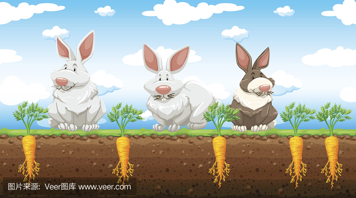 三只兔子在胡萝卜农场