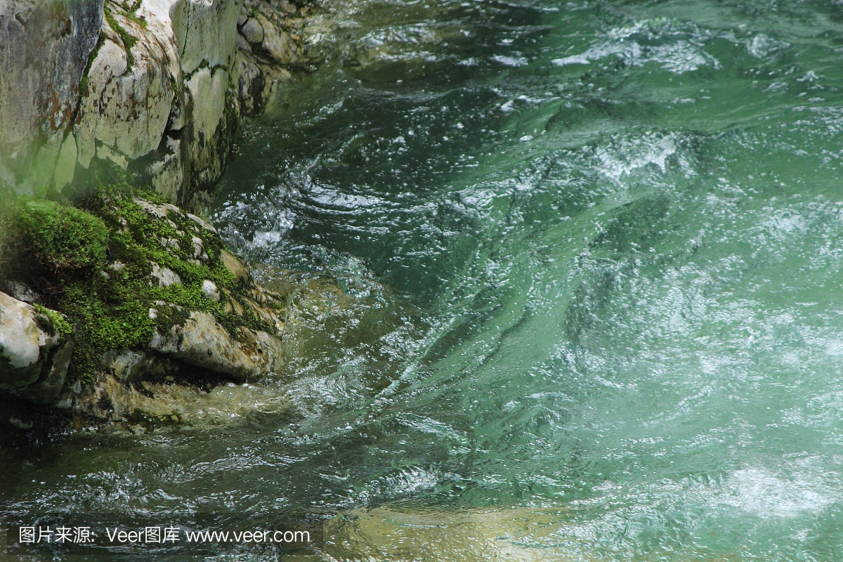 怀尔德·弗鲁斯