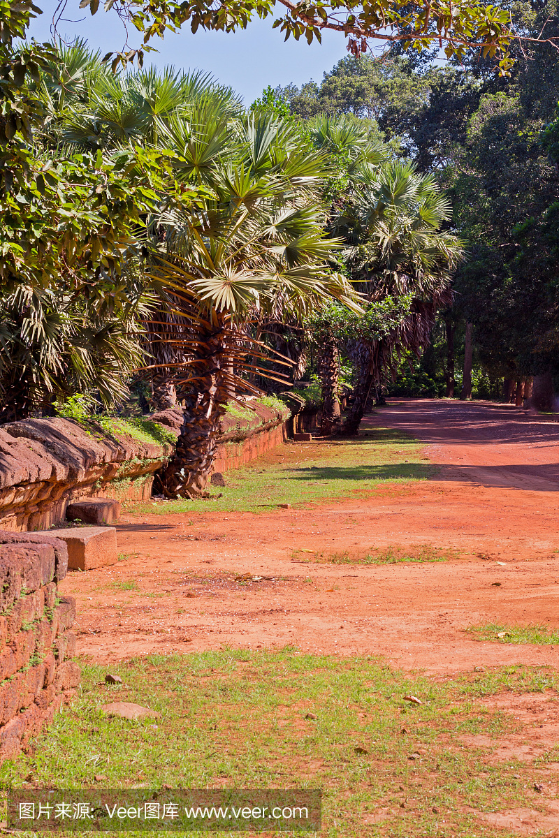 穿过城堡旁边的柬埔寨丛林的土路。暹粒,柬埔