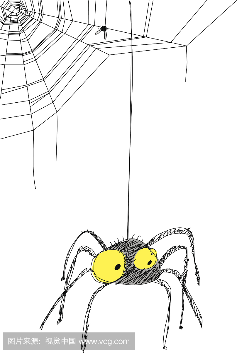 黑蜘蛛挂在网上