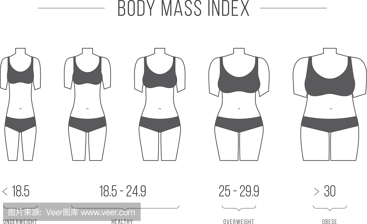 身体质量指数矢量插图,女性身材