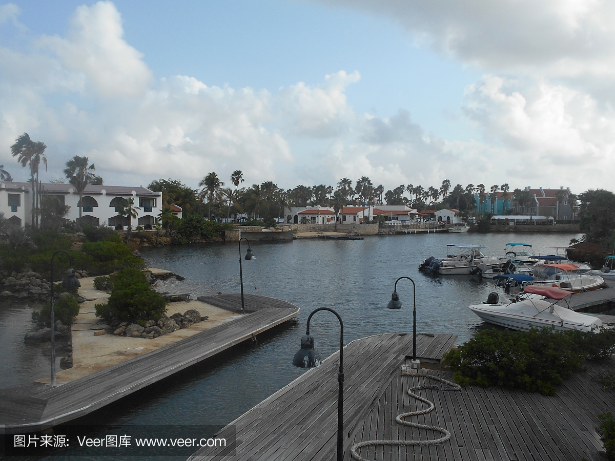 邮轮,游轮,巨型油轮,巡航船