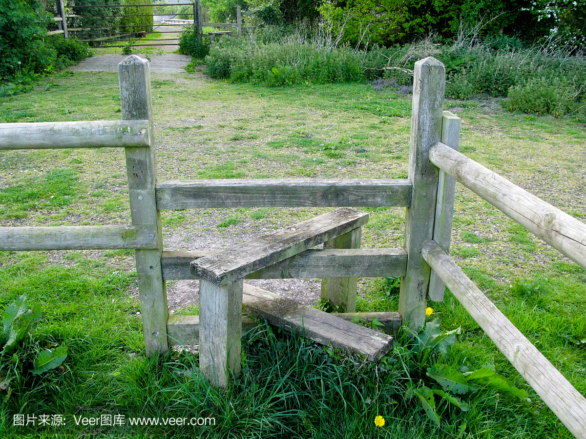 湖南新田：“牛”气冲天！一母牛产下稀有“龙凤胎”