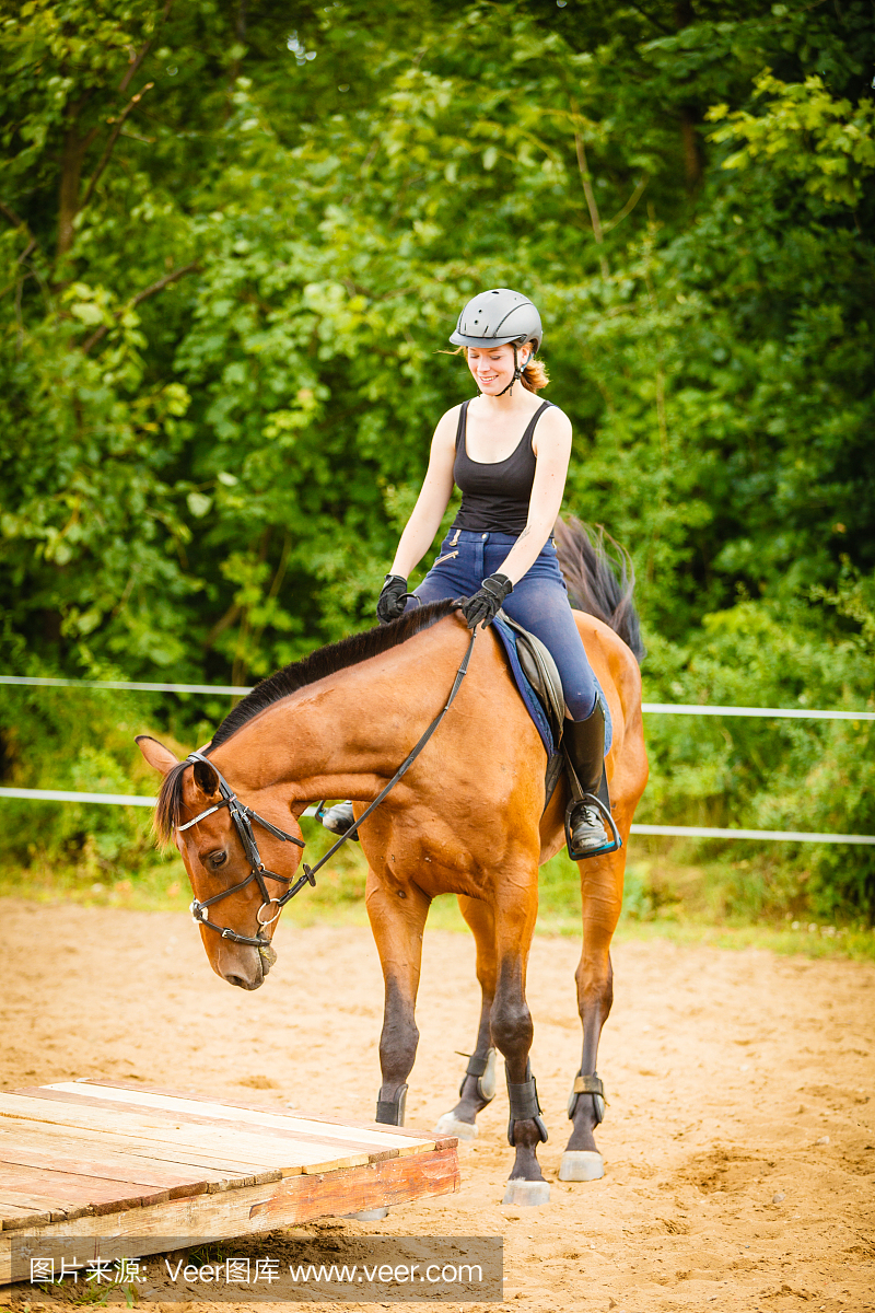 牧场主,牧场主人,牧场所有者,职业赛马骑师