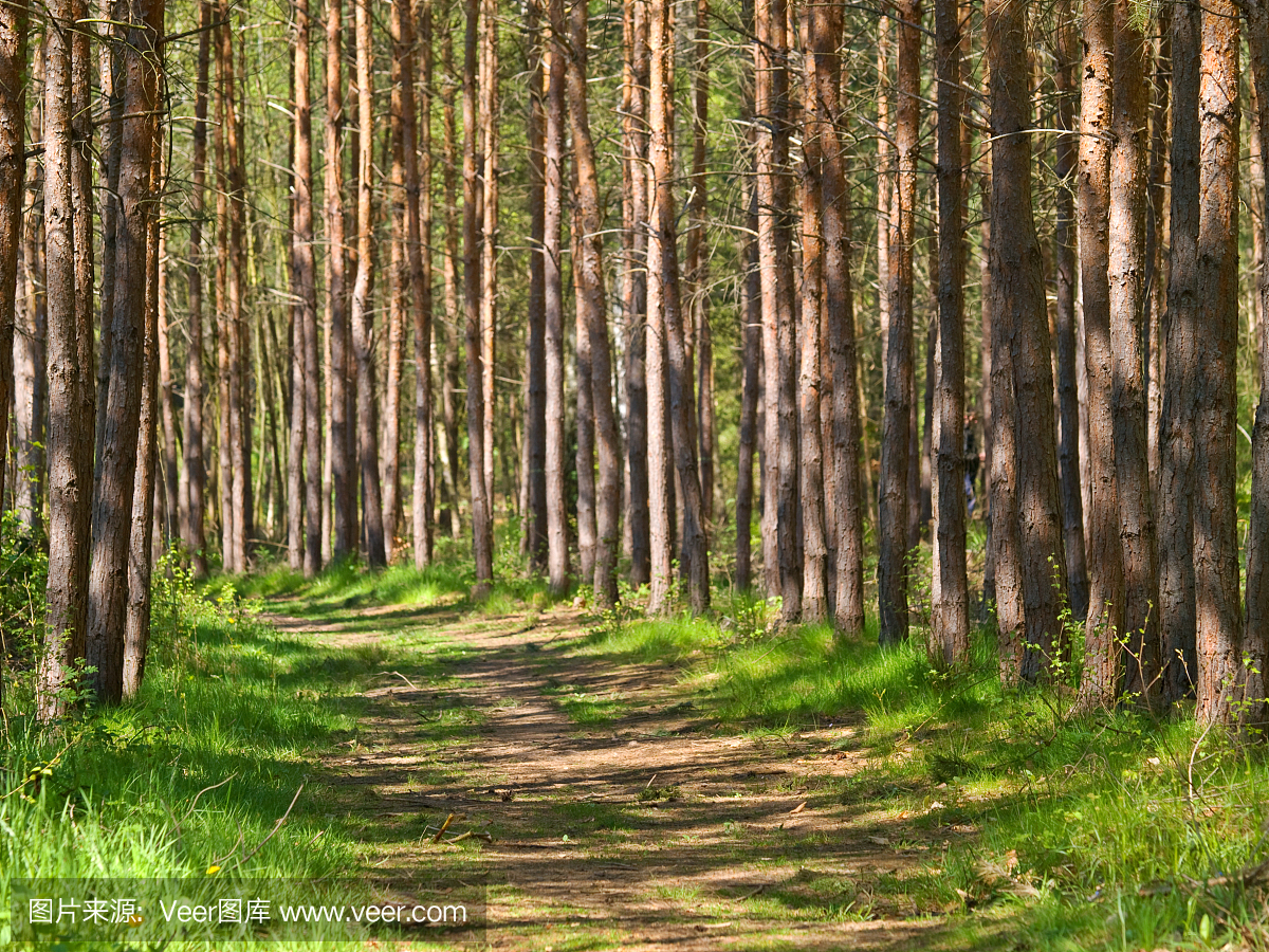 秘密,英文字母B,英文字母P,英文字母S