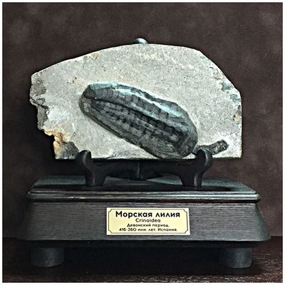 #гравюры #гравюры